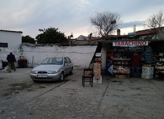 albania/puka/landmark/regional-and-international-bus-terminal-elbasan