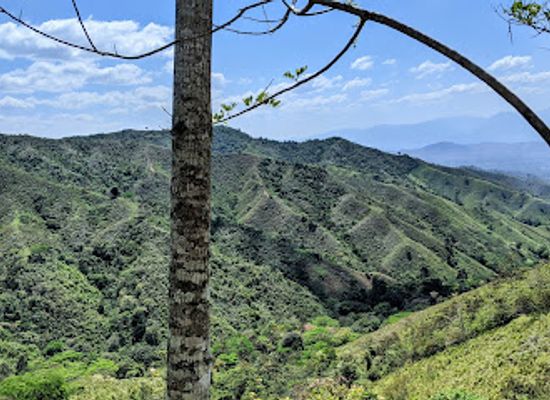 honduras/aguan-valley/landmark/reserva-de-la-biosfera-de-tawahka-asangni