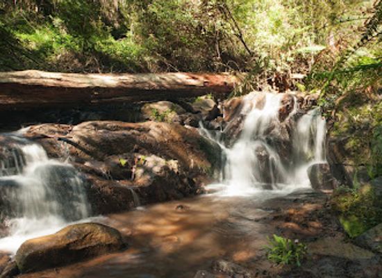 australia/yarra-valley/landmark/yarra-valley-dandenongs-ranges
