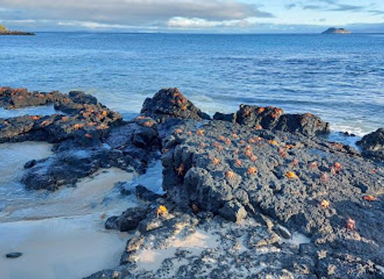 ecuador/galapagos-islands/landmark/las-bachas
