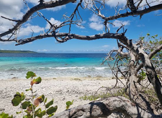 curacao/playa-manzalina/landmark/playa-largu