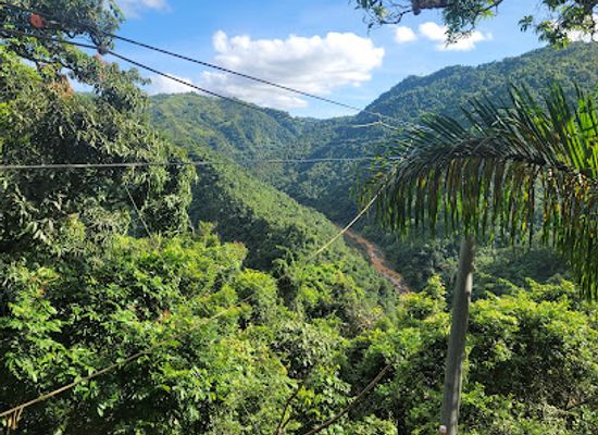puerto-rico/yunque-national-forest/landmark/toro-verde-adventure-park