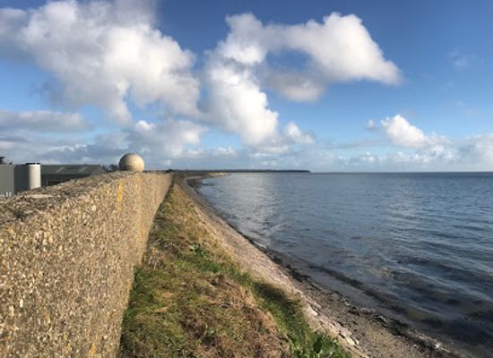 ireland/wexford/landmark/wexford-wildfowl-reserve