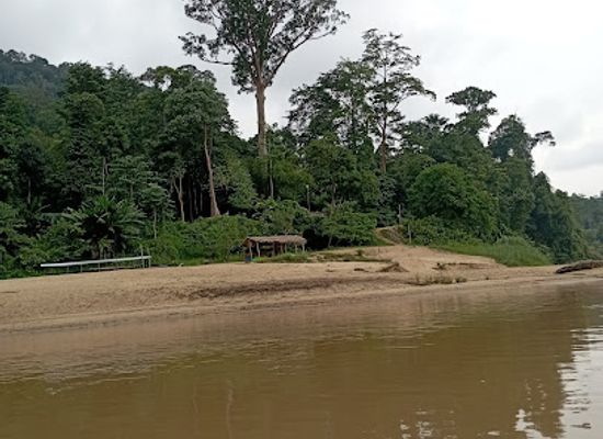 malaysia/taman-negara-national-park/landmark/taman-negara-package
