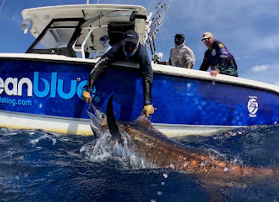 vanuatu/penama/landmark/ocean-blue-fishing-adventures