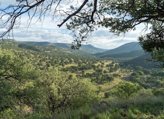 texas/davis-mountains-state-park/landmark/madera-canyon-trail-parking