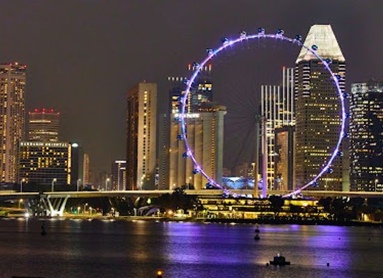 singapore/central-business-district/landmark/singapore-flyer