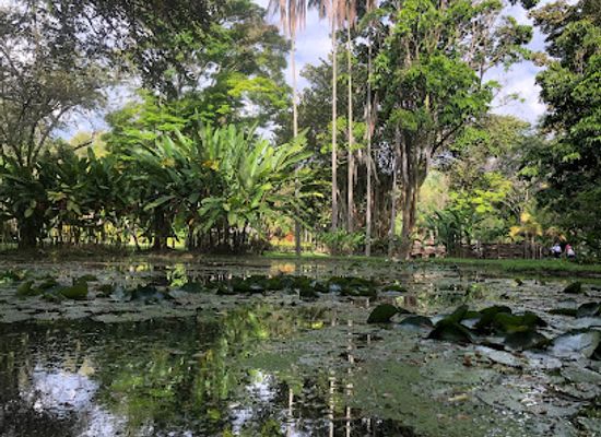colombia/cauca-valley/landmark/museum-sugarcane