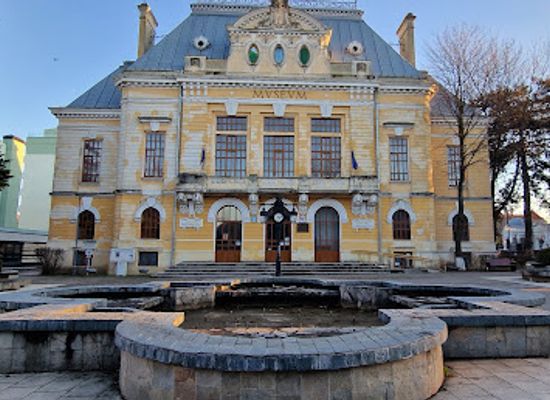 romania/botosani/landmark/botosani-county-museum