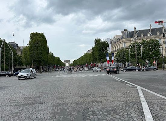 france/paris/champs-elysees/landmark/bouroullec-fountains