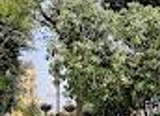 mexico/valley-of-mexico/landmark/aguacate-hijo