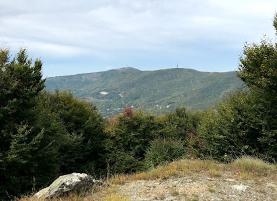 greece/mount-pelion/landmark/pelion-ski-centre