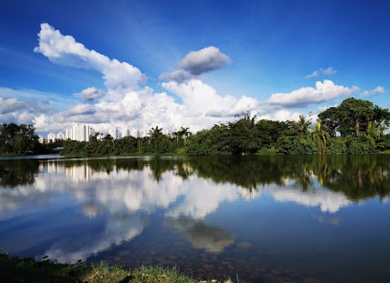 singapore/west-region/landmark/the-lone-tree