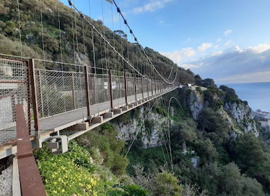 gibraltar/gibraltar-nature-reserve/landmark/windsor-suspension-bridge