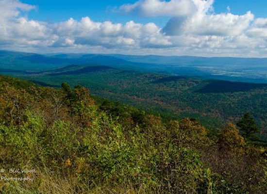 oklahoma/talimena-scenic-byway/landmark/talimena-scenic-dr