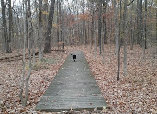 tennessee/germantown/landmark/riverwoods-state-natural-area