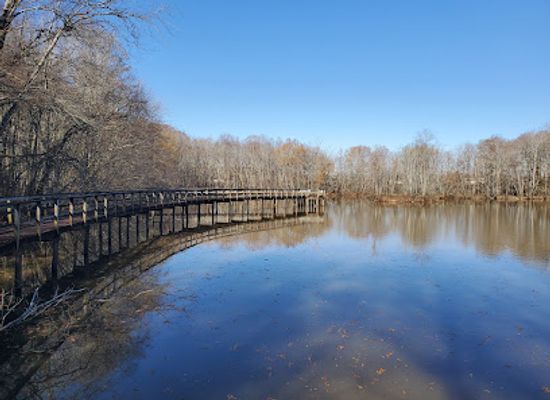 tennessee/hatchie-river-area/landmark/cypress-grove-nature-park