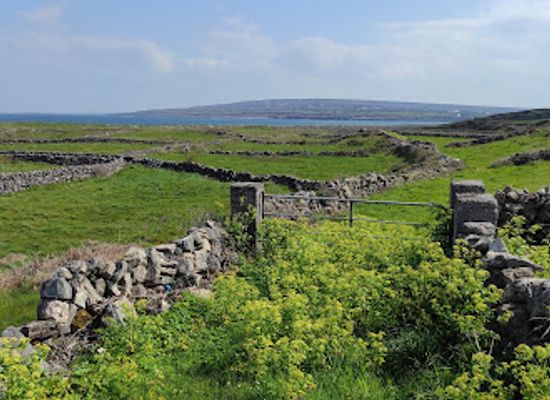 ireland/aran-islands/landmark/clochan-na-carraige