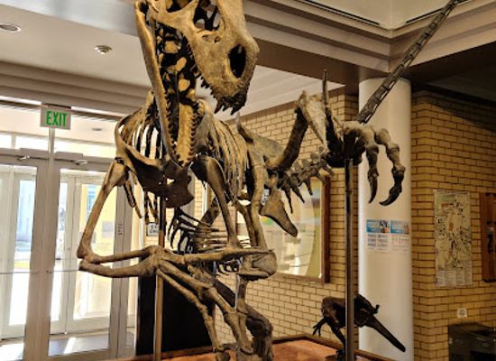 utah/book-cliffs/landmark/prehistoric-museum-utah-state-university-eastern