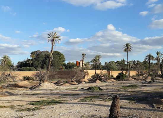 morocco/tafilalt/landmark/el-palmeral-marrakech