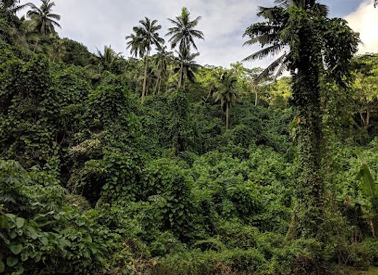 cook-islands/avatiu/landmark/wigmore-s-waterfall