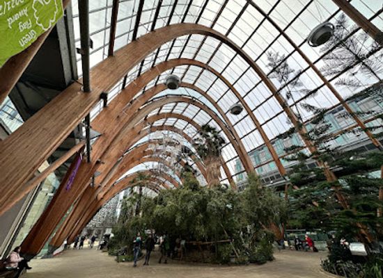 united-kingdom/sheffield/attraction/millennium-gallery