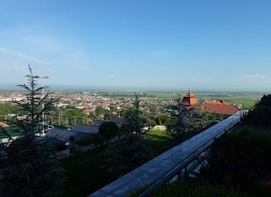serbia/branicevo/landmark/city-park