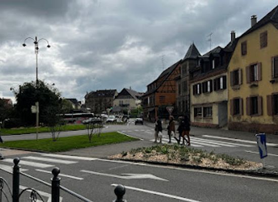 france/alsace-wine-route/landmark/cave-de-ribeauville