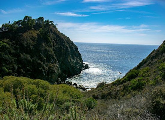 california/big-sur/landmark/partington-cove