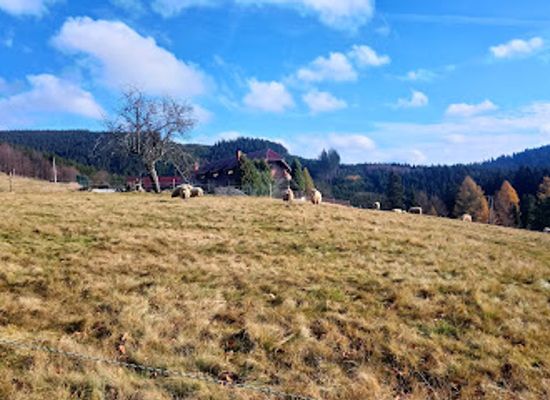 czechia/beskydy-mountains/landmark/v-podolankach