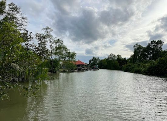 thailand/andaman-coast/landmark/mangrove-forest