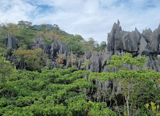 laos/khammouane-limestone-forest/landmark/limestone-forest-viewpoint
