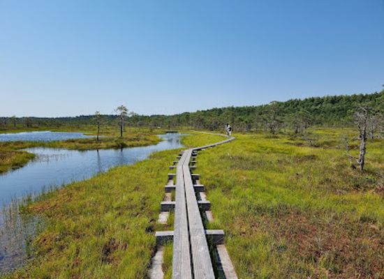 estonia/harju-county/landmark/korvemaa-landscape