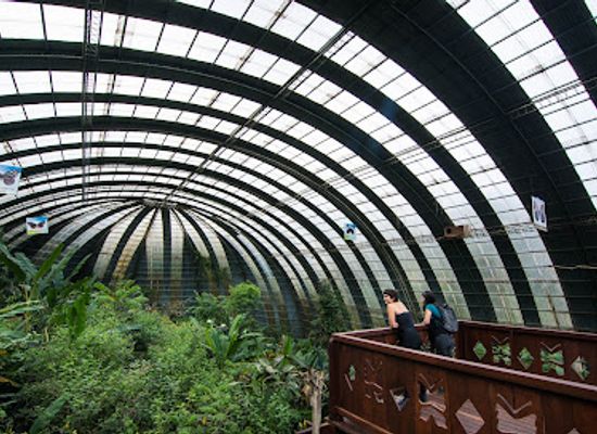 costa-rica/monteverde/landmark/selvatura-adventure-park