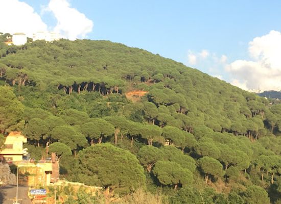 lebanon/chouf-district/landmark/jeita-grotto