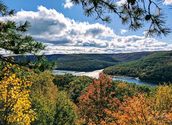 pennsylvania/appalachian-mountains/landmark/allegheny-national-forest