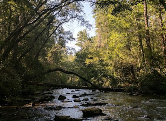 south-carolina/midlands/landmark/us-forest-service-sumter-national-forest-enoree-ranger-district