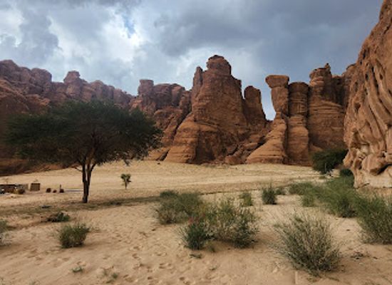 saudi-arabia/al-ula/landmark/al-ula