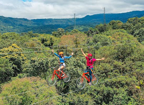 ecuador/northern-sierra/landmark/mindo-canopy-adventures