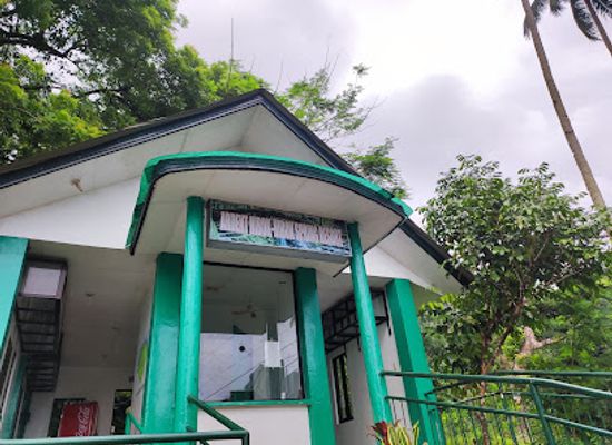 philippines/camiguin/landmark/ardent-hibok-hibok-spring-resort