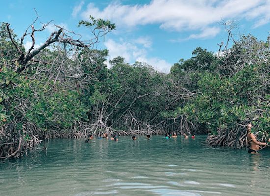 puerto-rico/caribbean-national-forest/landmark/la-jungla-beach