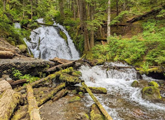 oregon/mount-hood-national-forest/landmark/little-zigzag-falls