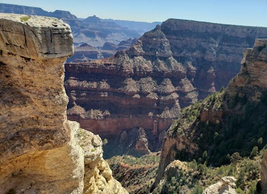 arizona/san-francisco-peaks/landmark/the-grand-canyon-national-park-foundation