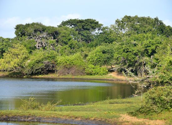 sri-lanka/kilinochchi-district/landmark/chundikulam-bird-sanctuary
