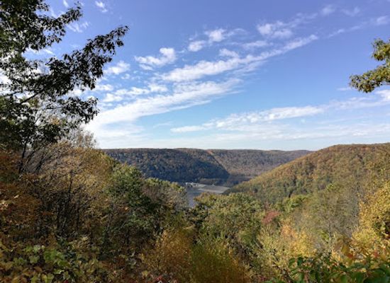 pennsylvania/southern-alleghenies/landmark/allegheny-national-forest
