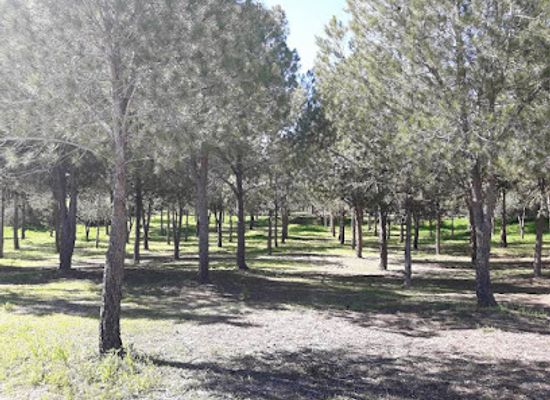 cyprus/paphos-forest/landmark/paphos-castle