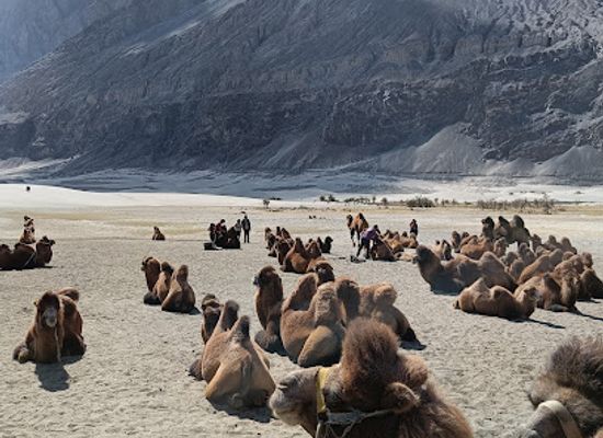 india/ladakh/landmark/whole-ladakh-adventure