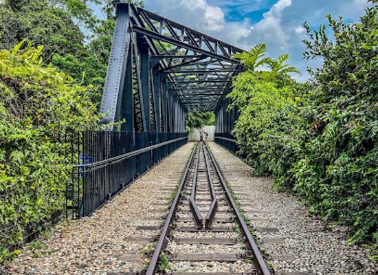 singapore/bukit-timah-nature-reserve/landmark/rail-corridor-central