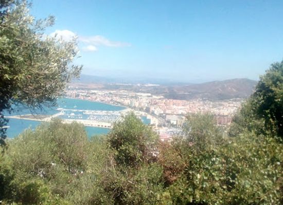 gibraltar/upper-rock-nature-reserve/landmark/jury-s-cafe-and-wine-bar