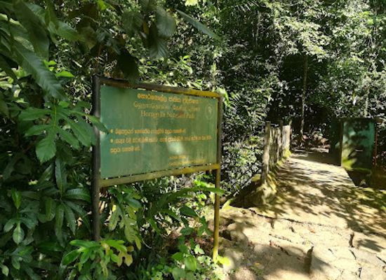 sri-lanka/gampaha-district/landmark/horagolla-national-park